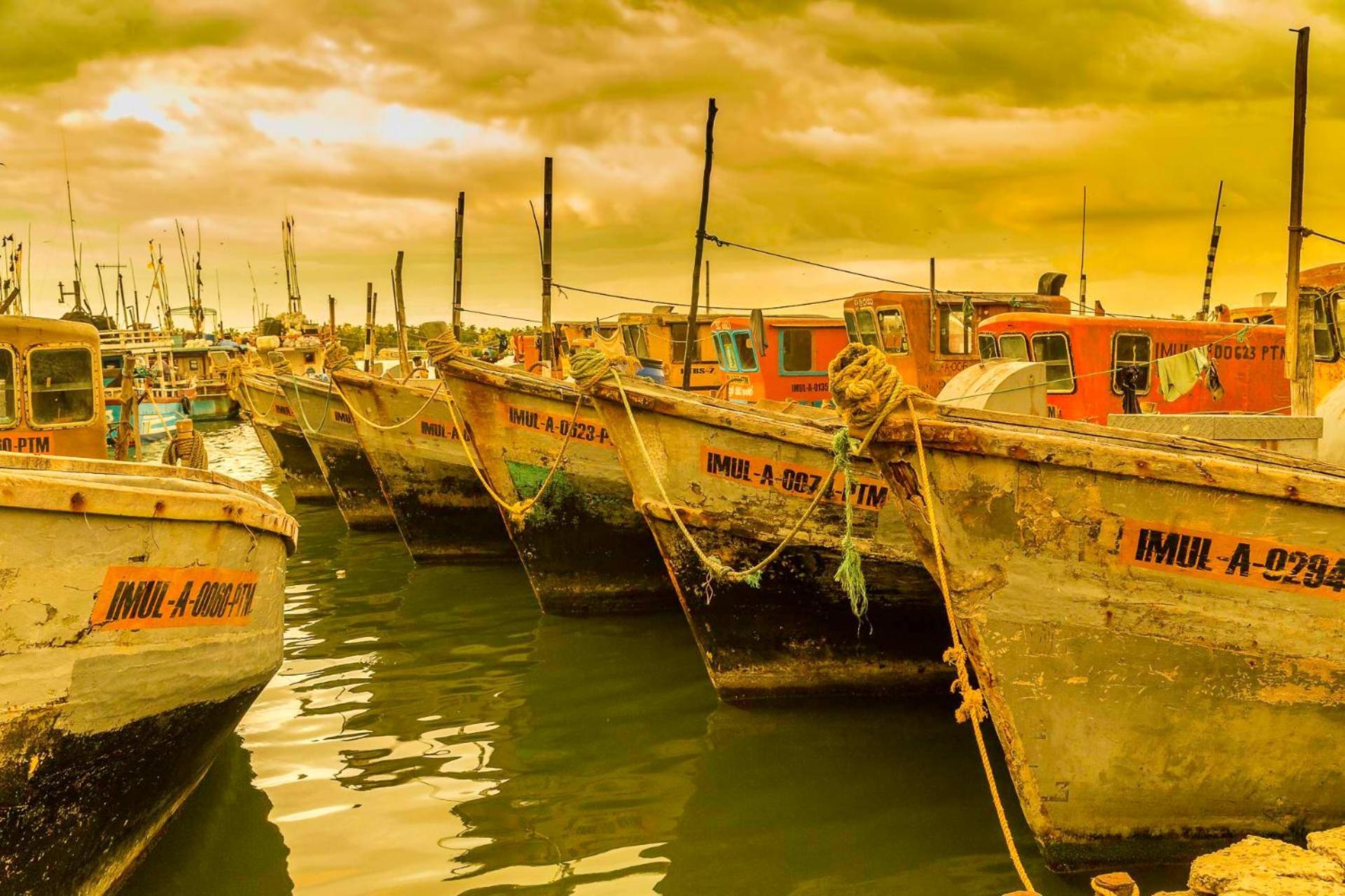 Atara Lagoon Kalpitiya Exterior foto